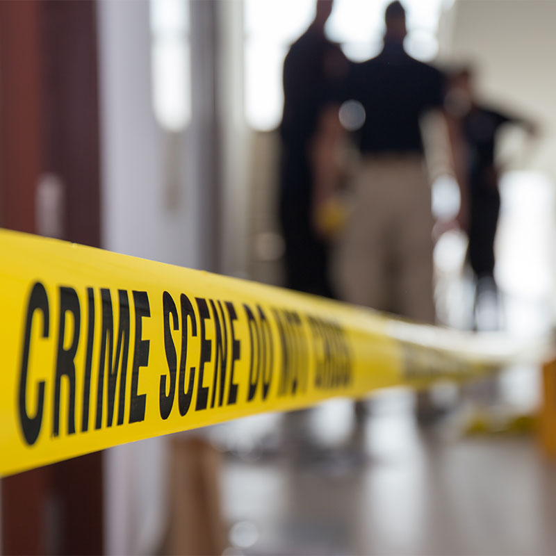 criminal investigations