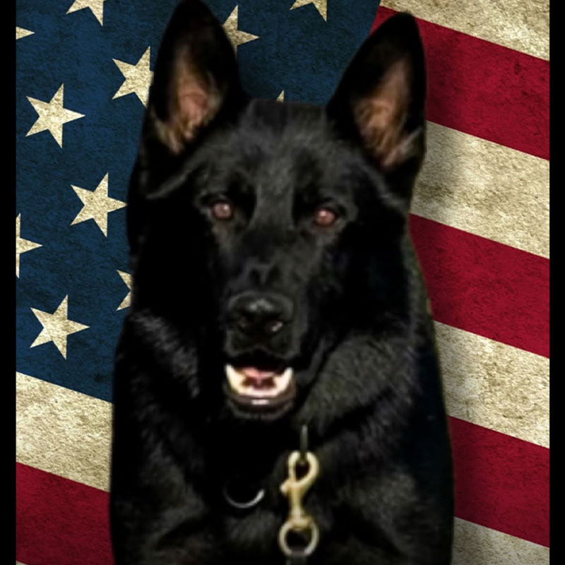 highland county k9 code