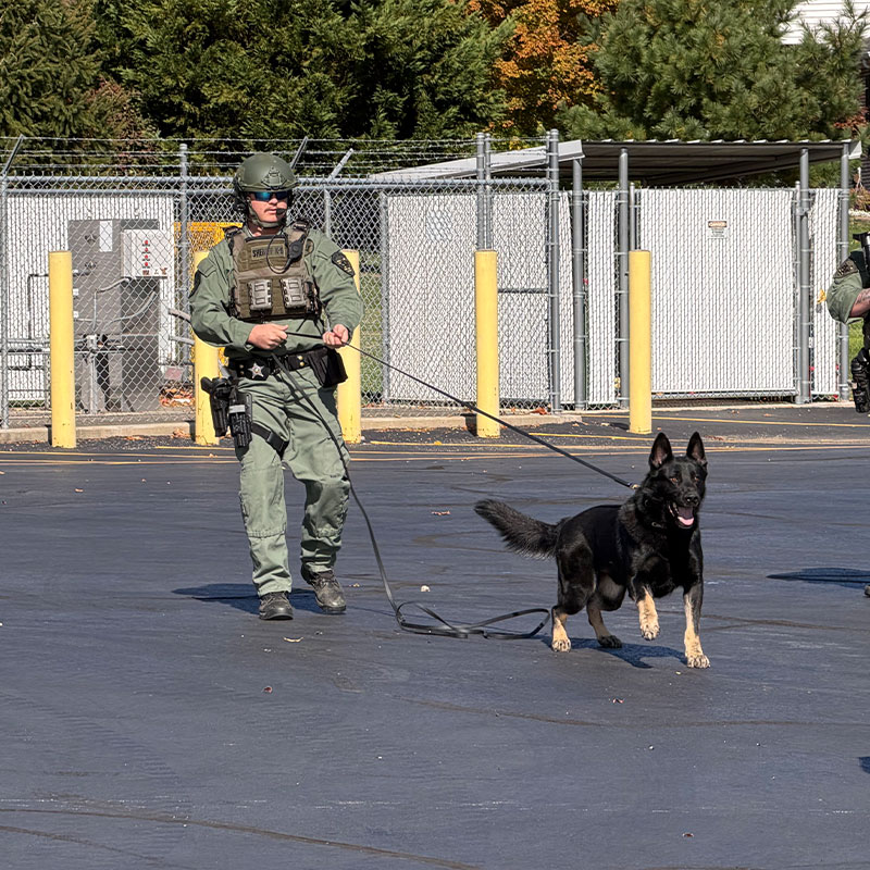 k9 code training